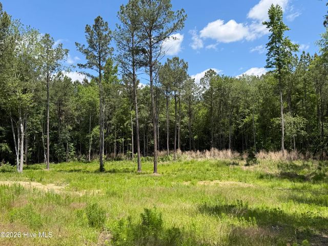 979 Aiken Road, Vass, NC 28394