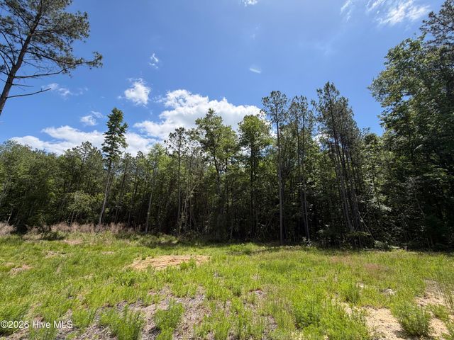 979 Aiken Road, Vass, NC 28394