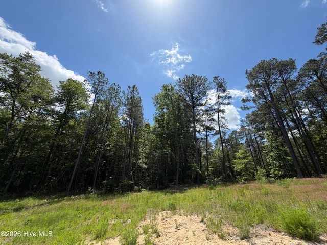 979 Aiken Road, Vass, NC 28394
