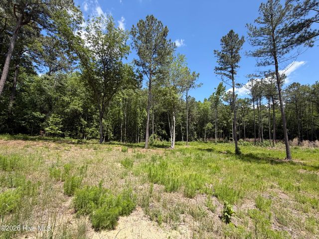 979 Aiken Road, Vass, NC 28394