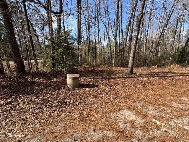 979 Aiken Road, Vass, NC 28394