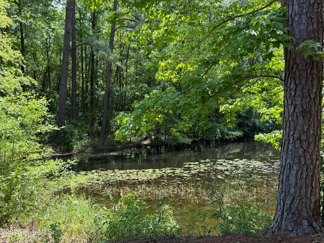 979 Aiken Road, Vass, NC 28394