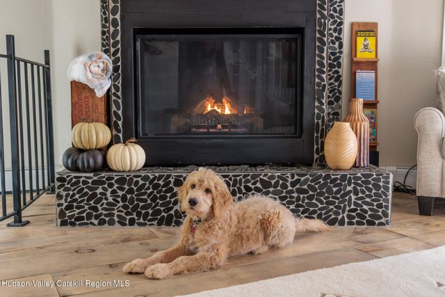 286 Tommy Trail, Athens, NY 12015