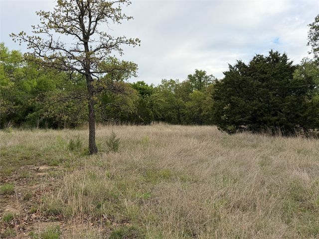 1576 Adell Circle, Peaster, TX 76088