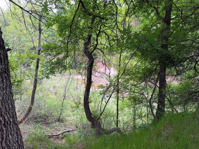 1576 Adell Circle, Peaster, TX 76088