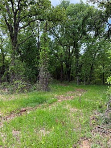 1576 Adell Circle, Peaster, TX 76088