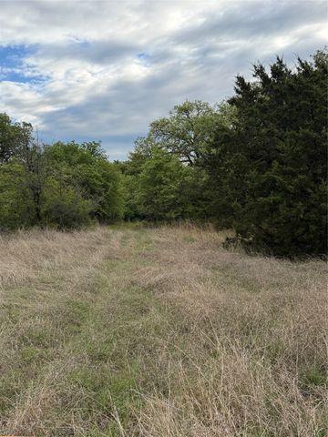 1576 Adell Circle, Peaster, TX 76088