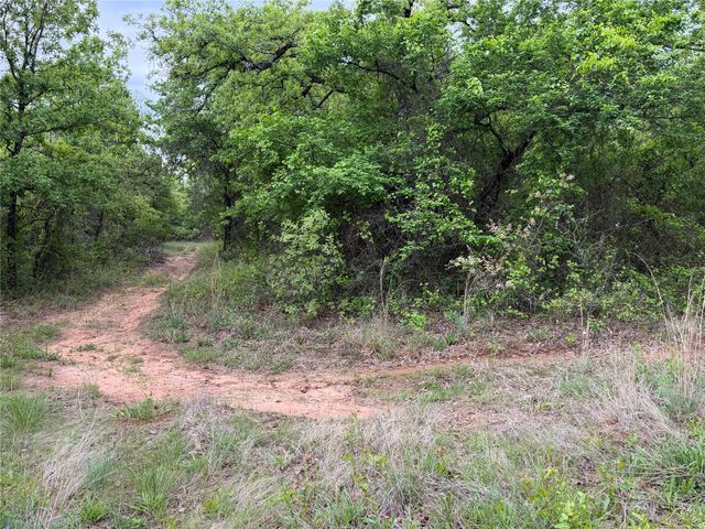 1576 Adell Circle, Peaster, TX 76088