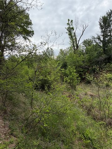 1576 Adell Circle, Peaster, TX 76088