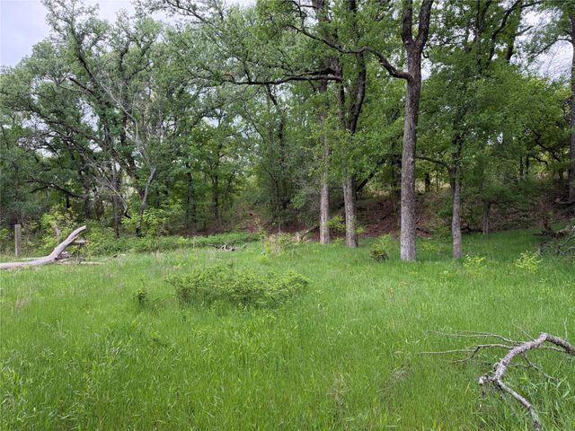 1576 Adell Circle, Peaster, TX 76088