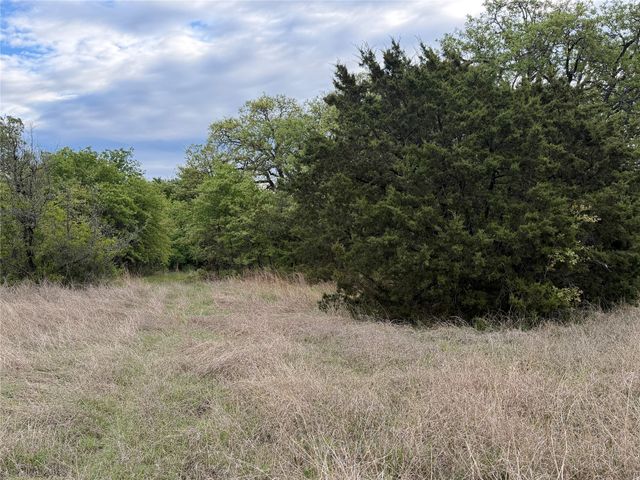 1576 Adell Circle, Peaster, TX 76088