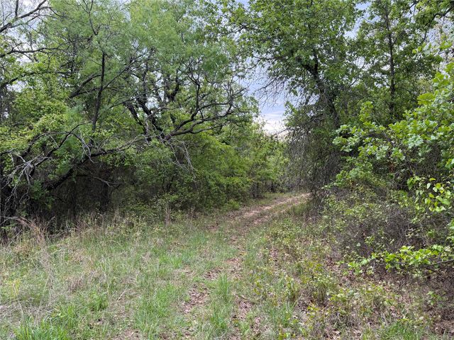 1576 Adell Circle, Peaster, TX 76088