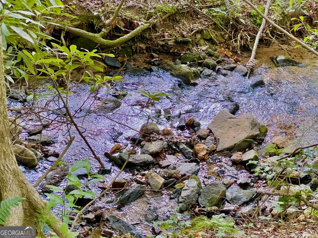 LOT 4 Lower Fox Trail, Blairsville, GA 30512
