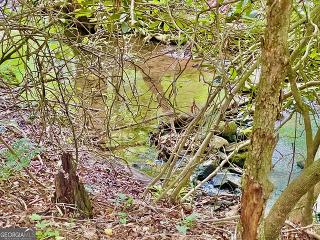 LOT 4 Lower Fox Trail, Blairsville, GA 30512