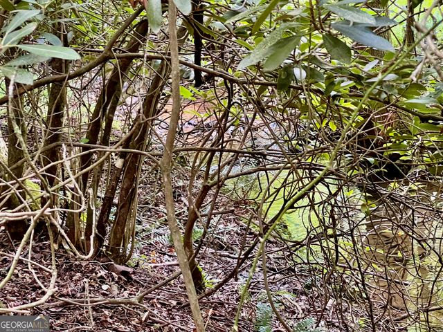LOT 4 Lower Fox Trail, Blairsville, GA 30512
