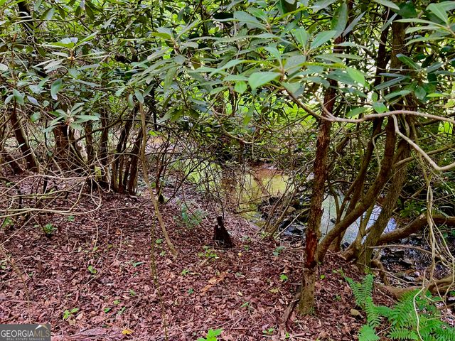 LOT 4 Lower Fox Trail, Blairsville, GA 30512