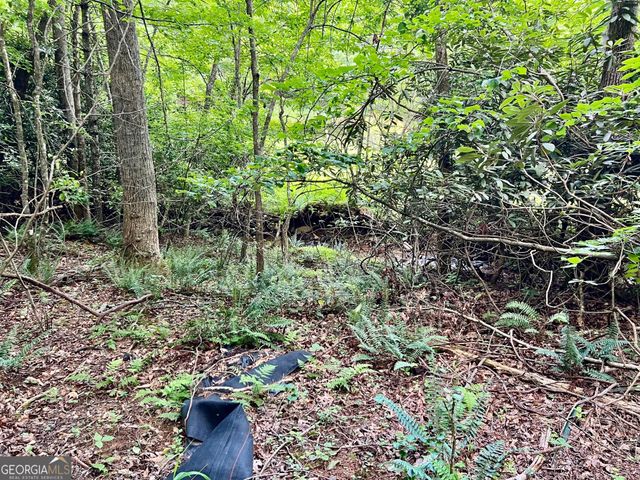 LOT 4 Lower Fox Trail, Blairsville, GA 30512