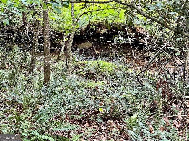LOT 4 Lower Fox Trail, Blairsville, GA 30512