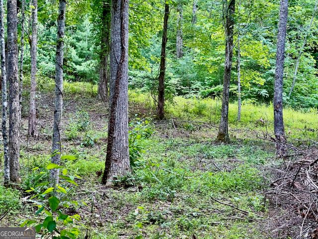 LOT 4 Lower Fox Trail, Blairsville, GA 30512