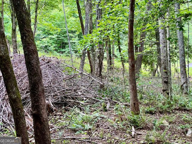 LOT 4 Lower Fox Trail, Blairsville, GA 30512