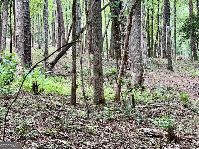 LOT 4 Lower Fox Trail, Blairsville, GA 30512