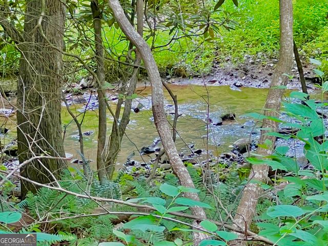 LOT 4 Lower Fox Trail, Blairsville, GA 30512