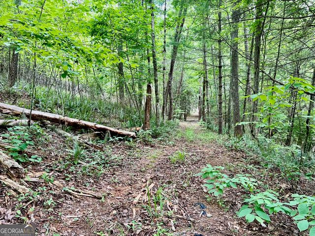 LOT 4 Lower Fox Trail, Blairsville, GA 30512