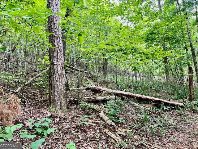 LOT 4 Lower Fox Trail, Blairsville, GA 30512