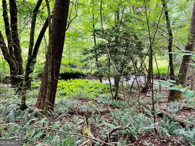 LOT 4 Lower Fox Trail, Blairsville, GA 30512