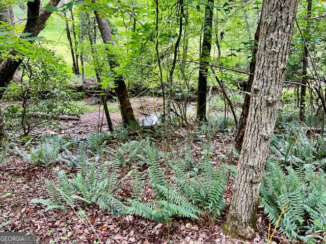 LOT 4 Lower Fox Trail, Blairsville, GA 30512