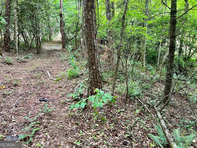 LOT 4 Lower Fox Trail, Blairsville, GA 30512