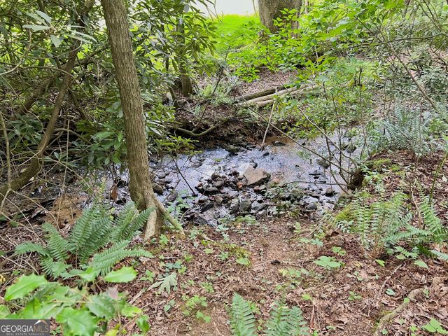 LOT 4 Lower Fox Trail, Blairsville, GA 30512