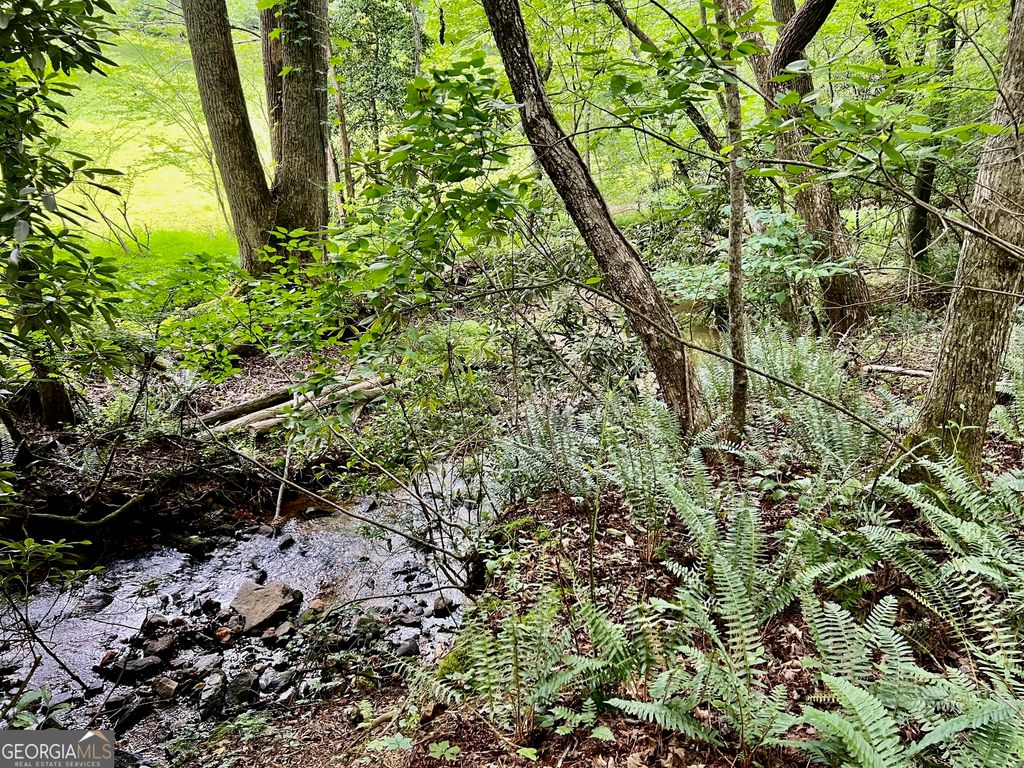 LOT 4 Lower Fox Trail, Blairsville, GA 30512