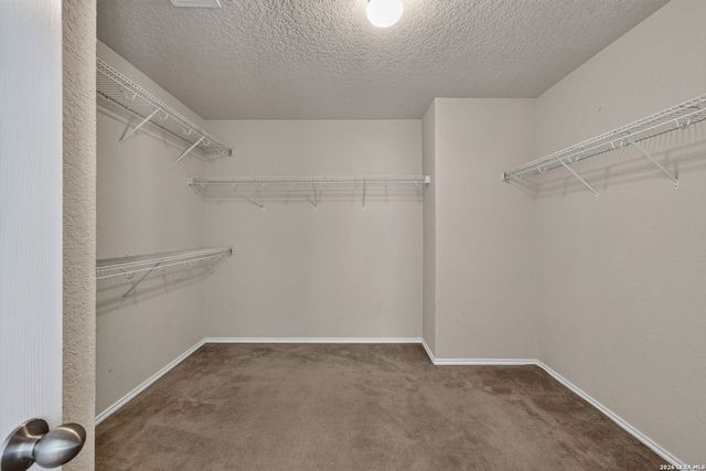 25131 TERLINGUA BND, San Antonio, TX 78261