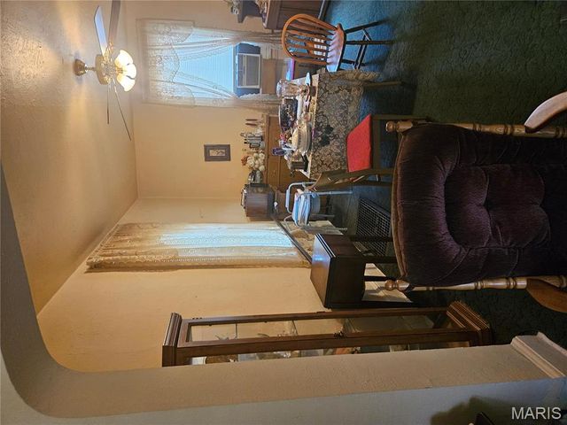 313 Fillmore Street, St Louis, MO 63111