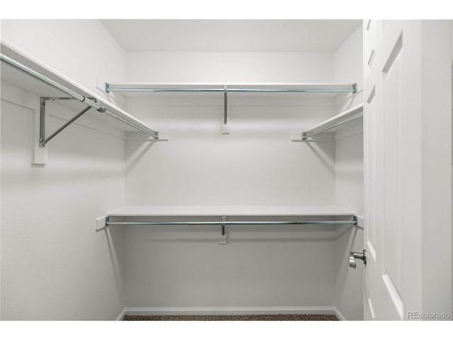 474 Black Feather Loop 411, Castle Rock, CO 80104