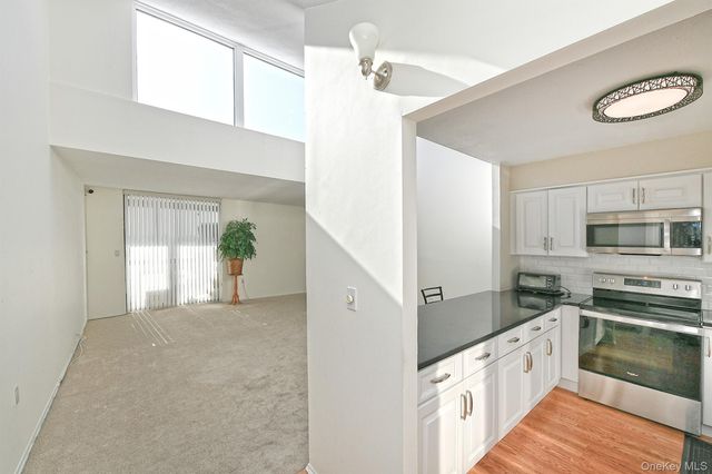 800 Willis Avenue 313, Albertson, NY 11507