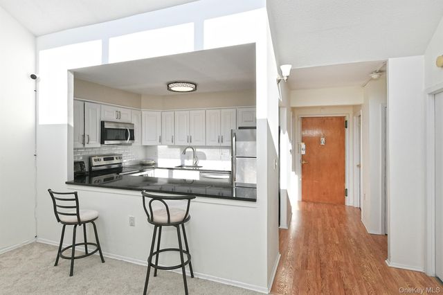 800 Willis Avenue 313, Albertson, NY 11507