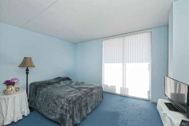 800 Willis Avenue 313, Albertson, NY 11507