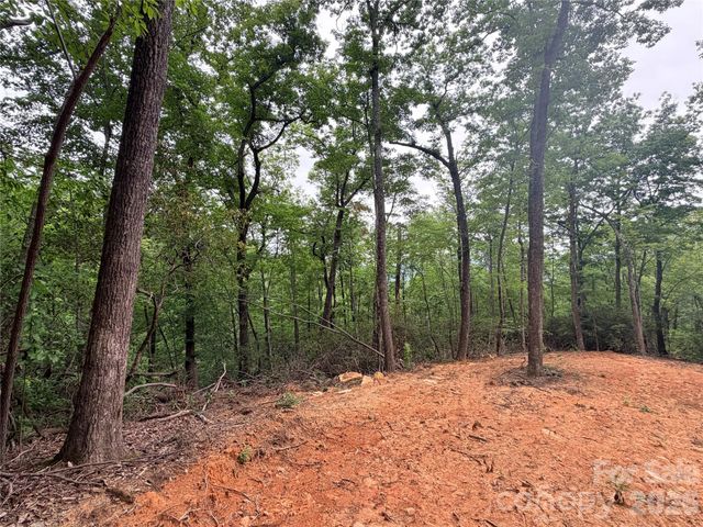 0 Harrison Drive, Lake Lure, NC 28746