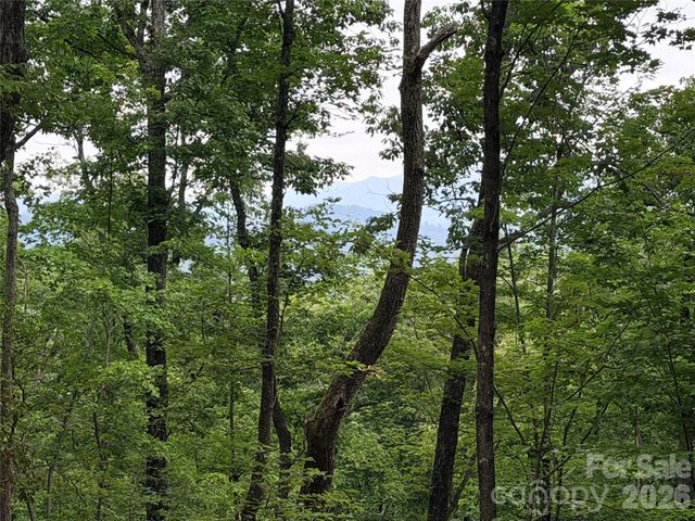 0 Harrison Drive, Lake Lure, NC 28746