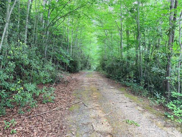 0 Harrison Drive, Lake Lure, NC 28746