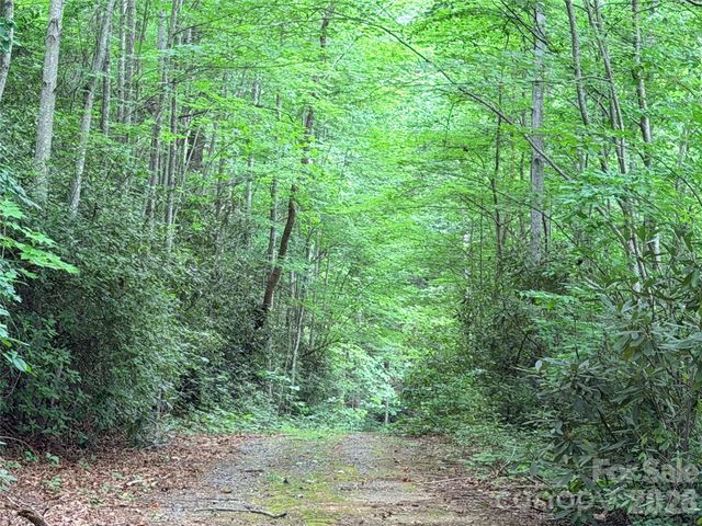 0 Harrison Drive, Lake Lure, NC 28746