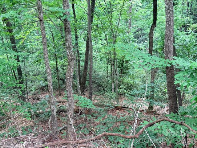 0 Harrison Drive, Lake Lure, NC 28746