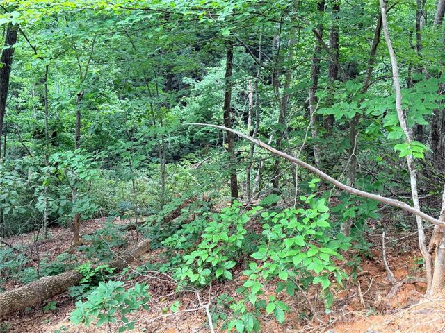 0 Harrison Drive, Lake Lure, NC 28746