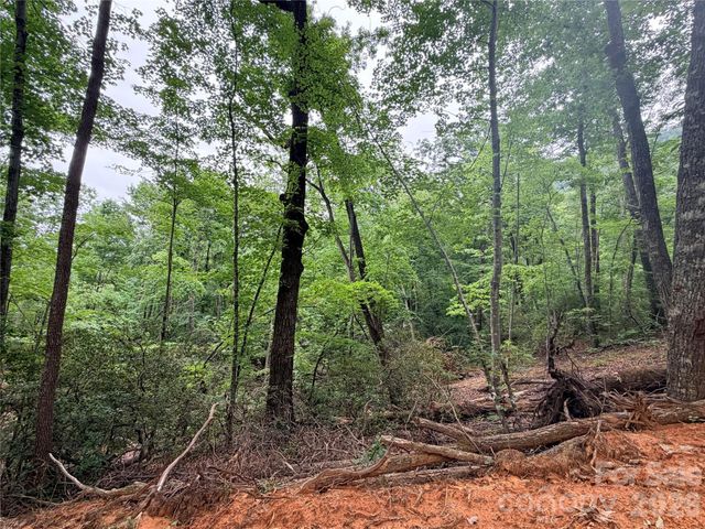 0 Harrison Drive, Lake Lure, NC 28746