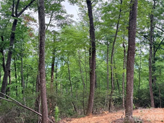 0 Harrison Drive, Lake Lure, NC 28746