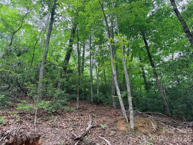 0 Harrison Drive, Lake Lure, NC 28746