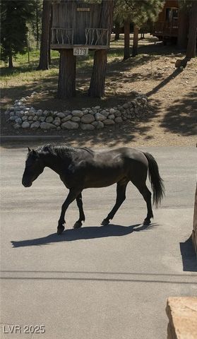 4178 Matterhorn Way, Mount Charleston, NV 89124