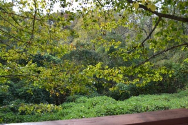 450 Cedar Hill Rd, Celina, TN 38551